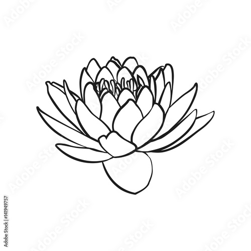 lotus flowers icon