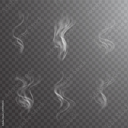 White cigarette smoke waves on transparent. Transparent white steam over cup on dark background background vector illustration.