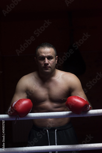 portrait of muscular professional kickboxer © .shock