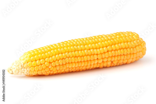 Corn on the cob isolated.