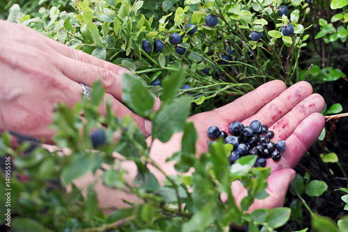 A handful of blueberries