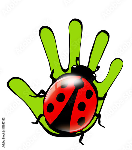 Marienkäfer auf Hand