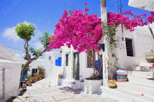 Fototapeta Naklejka Na Ścianę i Meble -  Traditional greek street with flowers in Amorgos island, Greece