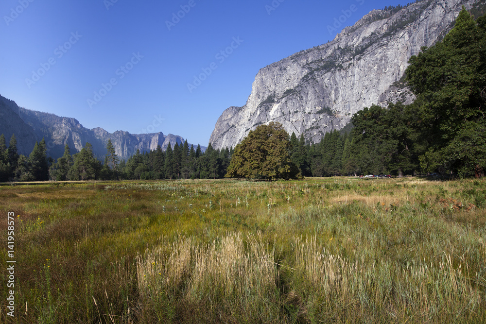 Obraz premium A view of Yosemite Valley floor in California