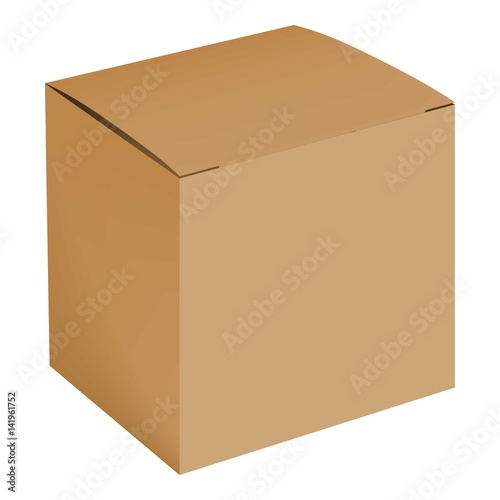 Blank cardboard box mockup, realistic style