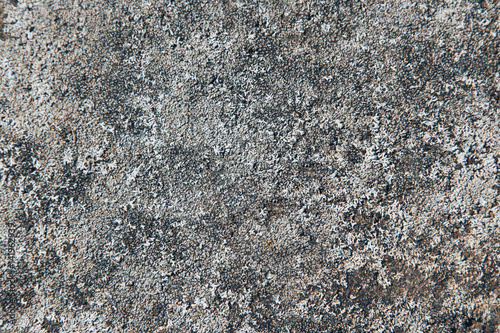 Unique gray earth texture