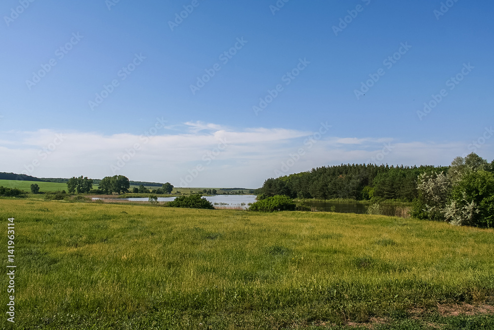 Reservoirs and field shelterbelts in the fields near the village of Novoselivka in the Novo-vodolaz'ke district, Kharkiv region of Ukraine. 2007