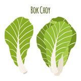 Bok choy, chinese cabbage in flat style. Natural organic vegetable.