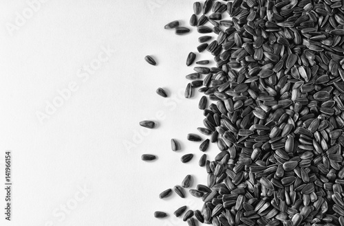 Sunflower seeds scattered on the surface