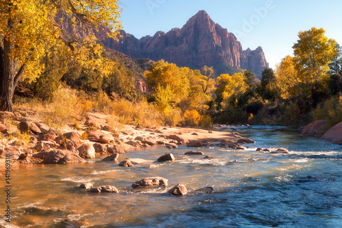 View of the Watchman mountain and the virgin river in Zion National Park photo