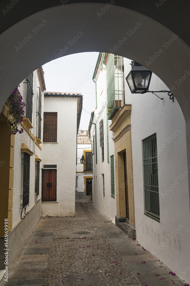 Cordoba (Andalucia, Spain): street