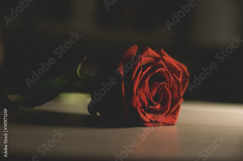 Fototapeta Naklejka Na Ścianę i Meble -  Bright red rose lies on a wooden table