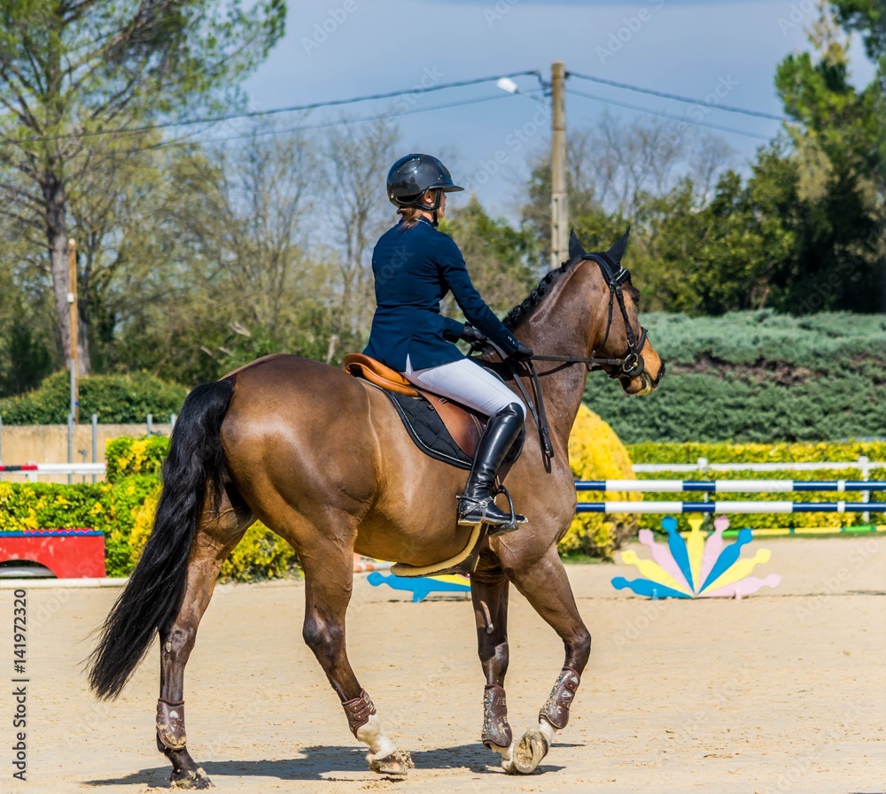 Equitation,saut d'obstacles,compétition. Equitation,saut d'obstacles,compétition.