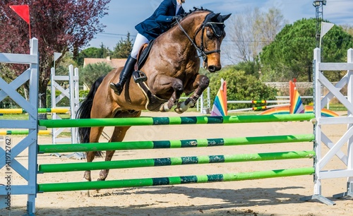 Equitation,saut d'obstacles,compétition. © Bernard GIRARDIN