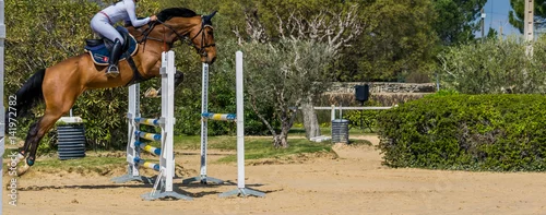 Obraz Jazda, skakanie, zawody.