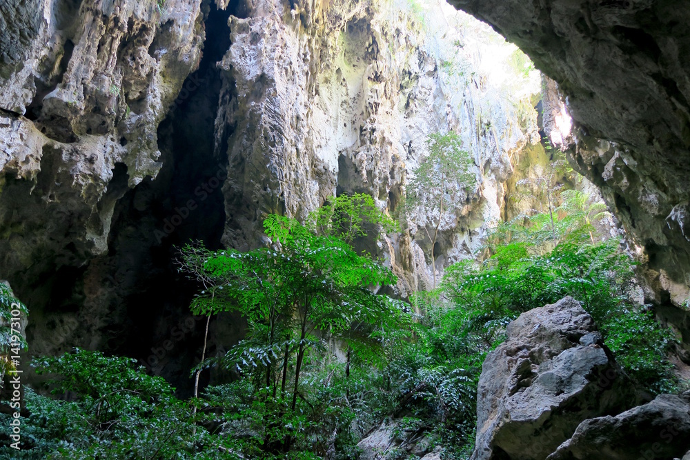 Obraz premium Forest in the Phraya Nakhon cave