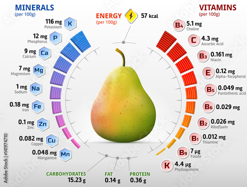 Vitamins and minerals of pear fruit. Infographics about nutrients in raw pear. Qualitative vector illustration for fruits, vitamins, agriculture, health food, nutrients, diet, etc