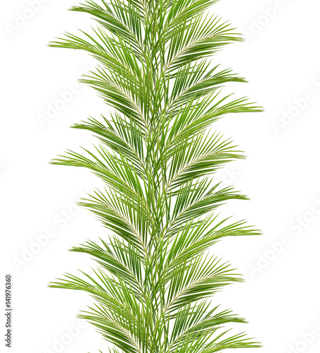 Green palm branches in a line arrangement