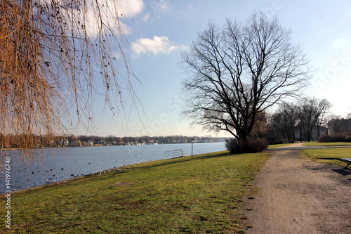 Photography Baum am Ufer