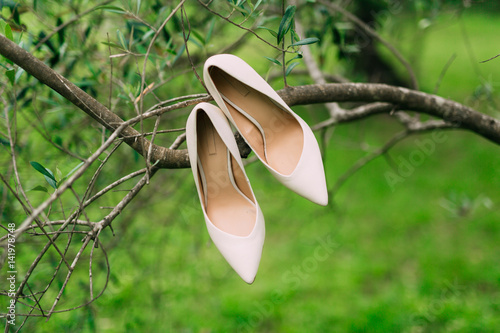 Light cream bride shoes hanging on a branch of olive tree.