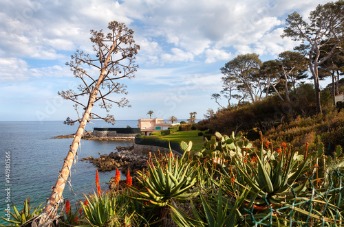 Villa at Cap d'Antibes on the Mediterranean with agave and cactus in the foreground