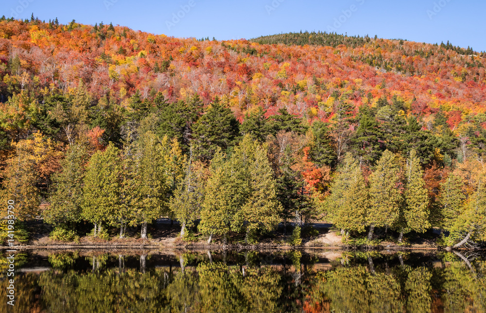 Adirondack Fall Foliage