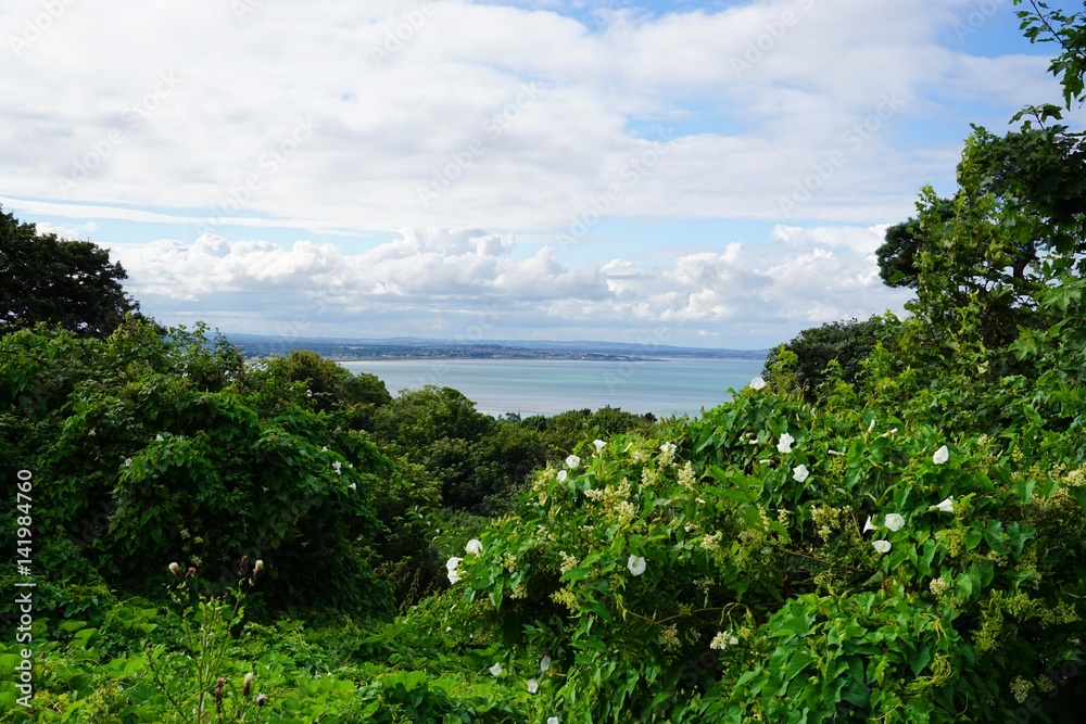 Obraz premium irische Atlantik Küste, Howth