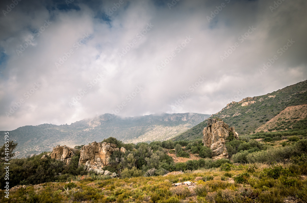 Crete island, Greece. Cretan landscape with rocks and olive trees.