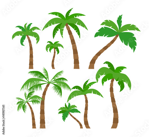 palm trees set in flat style  on white background