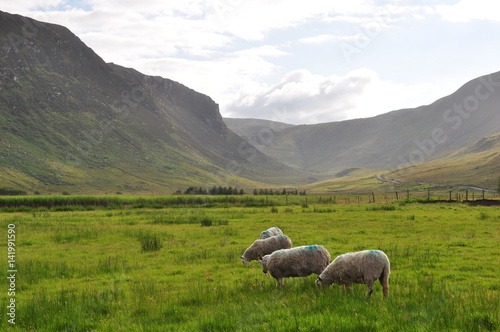 Connemara, Irlande