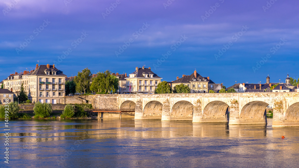 Castle on the Loire