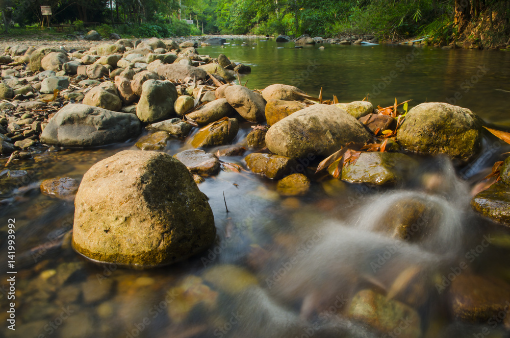 Fototapeta premium Forest stream running over mossy rocks