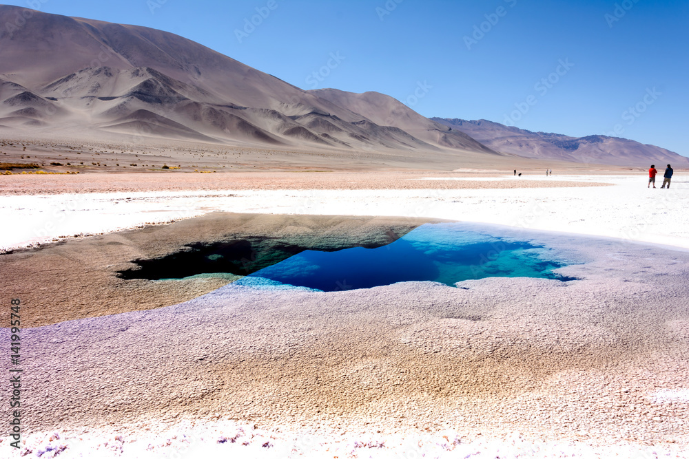 Naklejka premium Ojos de Mar. Tolar Grande. Salta. Argentina. 