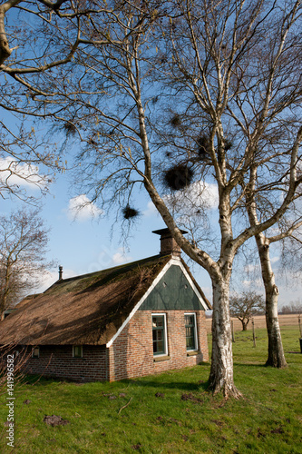 Little house in National Park Weerribben de wieden Netherlands. Tiny house. Kalenberg Overijssel. photo