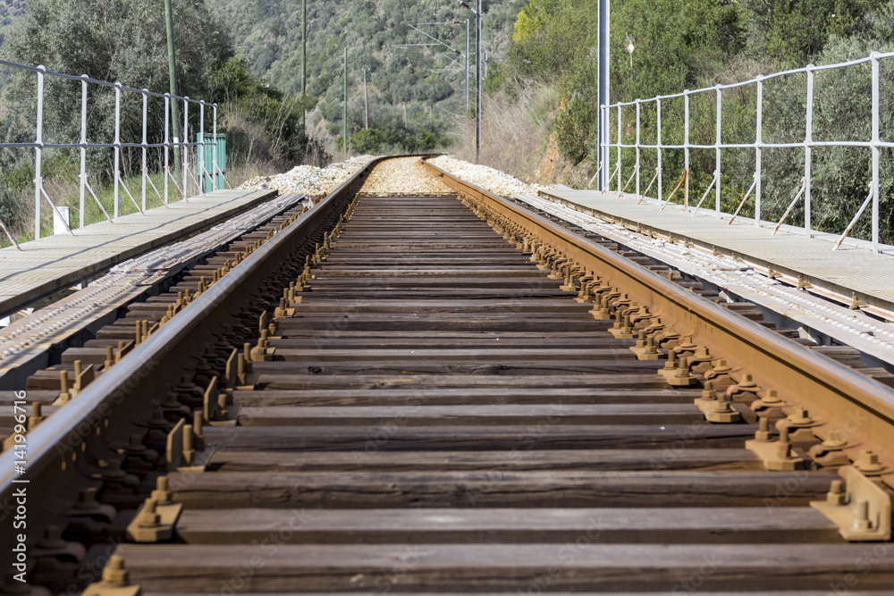 Vías de tren. Caminos de hierro Vías de tren. Caminos de hierro