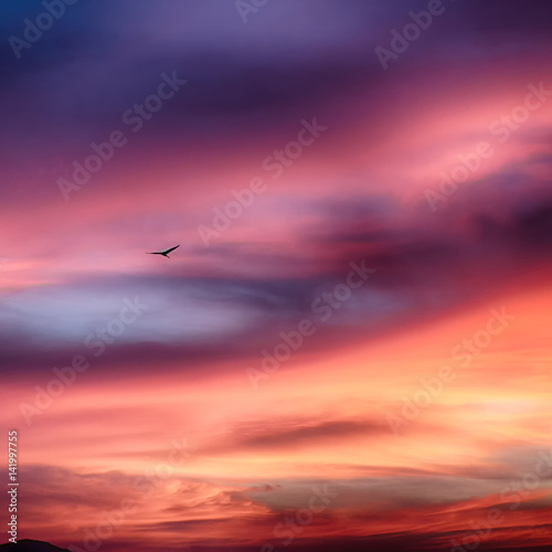  in philippines abstract cloud and sunset