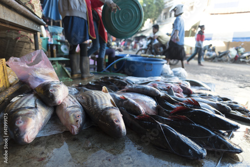 Obraz na plátně Fresh water fishes at local market in Laos.