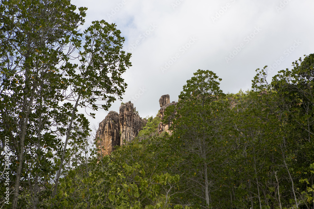 Nature landscape at Curieuse island, Seychelles Nature landscape at Curieuse island, Seychelles