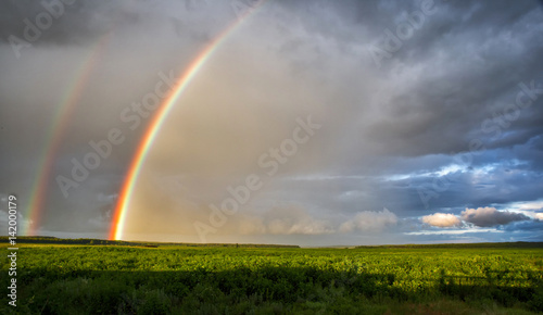 Bright rainbow after the rain over the field under the sun