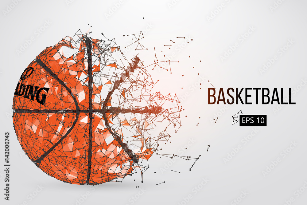 Obraz premium Silhouette of a basketball ball. Vector illustration