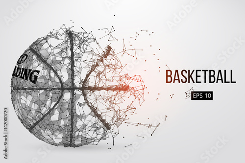 Silhouette of a basketball ball. Vector illustration