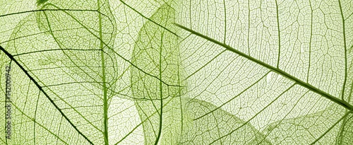 Panel kuchenny z motywem green leaf texture