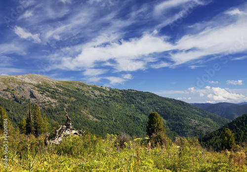 Landscape of the Mountain Altai, Siberia, Russia