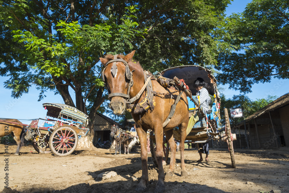 BAGAN/MYANMAR - OCTOBER 2015 - Landau found And can be arranged at Bagan. OCTOBER, 2, 2015 in Bagan, Myanmar. BAGAN/MYANMAR - OCTOBER 2015 - Landau found And can be arranged at Bagan. OCTOBER, 2, 2015 in Bagan, Myanmar.