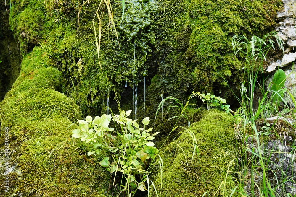 Obraz premium Frühling in Weimar