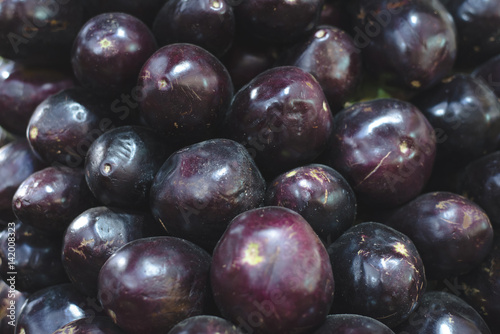 Wallpaper Mural texture of the eggplant Torontodigital.ca