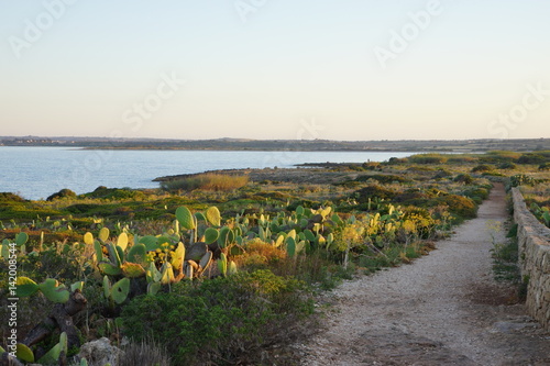 Riserva naturale Vendicari
