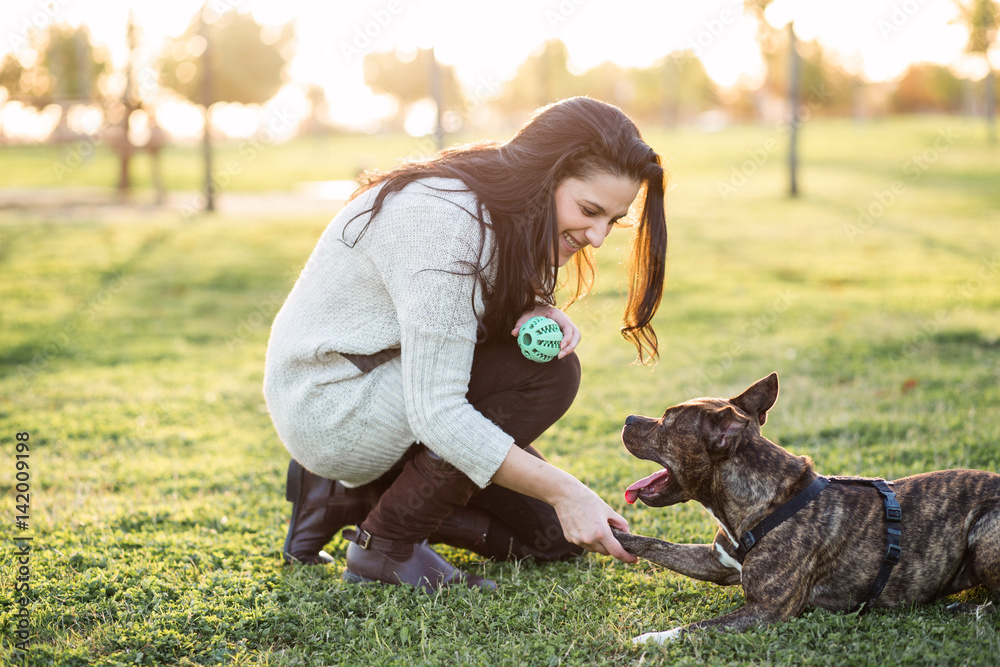 woman and dog shaking hand and paw woman and dog shaking hand and paw