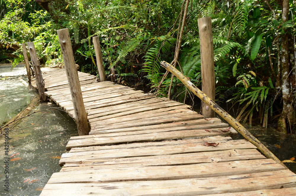 Obraz premium wooden pathway in spring forest
