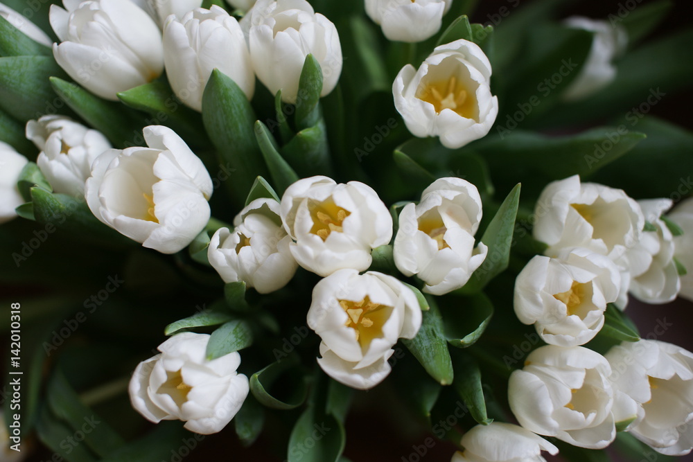 Large bouquet of white tulips Large bouquet of white tulips